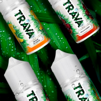 Жидкость TRAVA Salt - МОРОЗНАЯ ОБЛЕПИХА (Облепиха Холод) 30мл (20 мг)